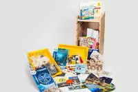 Учебно-методический набор для проектной деятельности в ДОО №1–ИТ (архитектура, мосты, простые механизмы) - fgospostavki.ru - Королёв