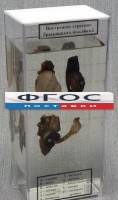 Влажный препарат "Внутреннее строение брюхоногого моллюска" - fgospostavki.ru - Королёв