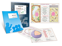 Комплект кодотранспарантов "Цитология" - fgospostavki.ru - Королёв