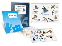 Комплект кодотранспарантов "Зоология. Птицы" - fgospostavki.ru - Королёв