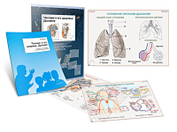 Комплект кодотранспарантов "Человек и его здоровье. Дыхание" - fgospostavki.ru - Королёв