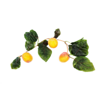 Ветка муляжей "Абрикосы" - fgospostavki.ru - Королёв