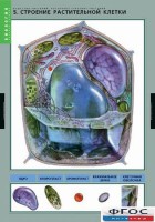 Комплект таблиц. Биология. Вещества растений. Клеточное строение. - fgospostavki.ru - Королёв