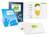 Комплект кодотранспарантов "Корень. Стебель. Лист (Внутреннее строение)" - fgospostavki.ru - Королёв