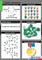 Комплект таблиц. Биология. Химия клетки. - fgospostavki.ru - Королёв