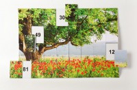 Магнитная таблица умножения "Поле" - fgospostavki.ru - Королёв