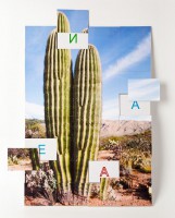 Магнитная орфография (безударные гласные, 1 класс) "Кактус" - fgospostavki.ru - Королёв