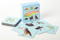 Набор магнитных карточек "Устный счет" (фон голубой) - fgospostavki.ru - Королёв