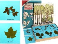 Гербарий "Растительные сообщества" - fgospostavki.ru - Королёв