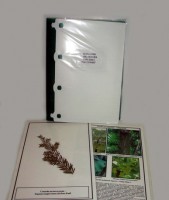 Гербарий "Эволюция высших растений" (ламинированный) - fgospostavki.ru - Королёв