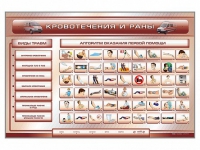 Трехсекционный базовый комплект "Травмы. Кровотечения. Ожоги" для учащихся общеобразовательных учреждений - fgospostavki.ru - Королёв