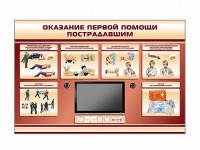 Многофункциональный интерактивный стенд-тренажер "Оказание первой помощи пострадавшим" для учащихся общеобразовательных учреждений - fgospostavki.ru - Королёв