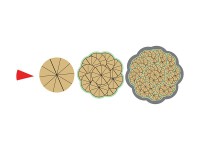 Магнитная математика Наталии Пятибратовой (Числовые фигуры) - fgospostavki.ru - Королёв