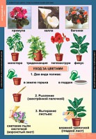 Комплект таблиц. Окружающий мир 1 класс. - fgospostavki.ru - Королёв