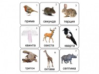 Набор магнитных карточек по музыке "Животные" (9 штук) - fgospostavki.ru - Королёв