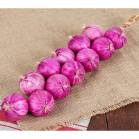 Муляжи "Связка лука" - fgospostavki.ru - Королёв