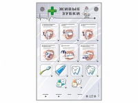 Интерактивный стенд "Живые зубки" - fgospostavki.ru - Королёв