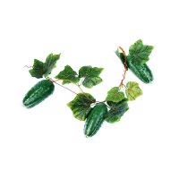 Ветка муляжей "Огурцы" - fgospostavki.ru - Королёв