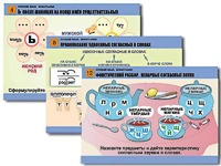 Комплект таблиц "Русский язык. Орфография" (14 таблиц, формат А1, ламинированные) - fgospostavki.ru - Королёв