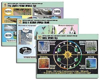 Комплект таблиц "Окружающий мир. Изменения в живой и неживой природе" (10 таблиц, А1, ламинированные) - fgospostavki.ru - Королёв