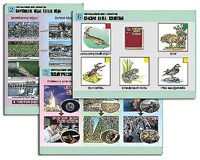 Комплект таблиц "Окружающий мир. Экология" (6 таблиц, А1, ламинированные) - fgospostavki.ru - Королёв