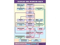 Таблица демонстрационная "Генетическая связь органических веществ" (винил 70x100) - fgospostavki.ru - Королёв