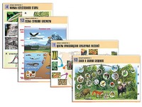 Комплект таблиц по биологии демонстрационных "Общая биология 2" (14 таблиц, формат А1, ламинированные) - fgospostavki.ru - Королёв