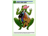 Рельефная таблица "Внутреннее строение лягушки" (формат А1, матовое ламинирование) - fgospostavki.ru - Королёв