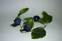 Ветка муляжей "Слива" - fgospostavki.ru - Королёв