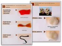 Коллекция "Шерсть" (начальная школа) - fgospostavki.ru - Королёв