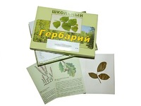 Гербарий "Дикорастущие растения" (30 видов, с иллюстрациями) - fgospostavki.ru - Королёв