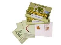 Гербарий "Основные группы растений. Грибы. Лишайники" (53 листа, с иллюстрациями и фотографиями) - fgospostavki.ru - Королёв