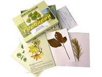 Гербарий "Жизненные формы цветковых растений" (раздаточный) - fgospostavki.ru - Королёв