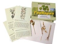 Гербарий "Систематика растений. Семейство Бобовые. Злаки" (раздаточный) - fgospostavki.ru - Королёв