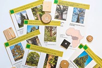 Коллекция "Древесные растения и их распространение" (демонстрационная) - fgospostavki.ru - Королёв