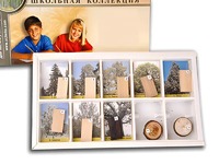 Коллекция "Древесные растения и их распространение" (раздаточная) - fgospostavki.ru - Королёв