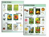 Коллекция "Семена и плоды" - fgospostavki.ru - Королёв