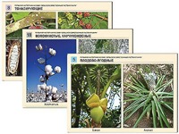 Гербарий фотографический "Сельскохозяйственные растения мира" - fgospostavki.ru - Королёв