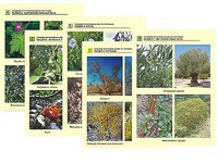 Гербарий фотографический по географии - fgospostavki.ru - Королёв