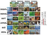 Фенологические наблюдения - fgospostavki.ru - Королёв