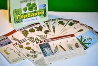 Гербарий к курсу основ общей биологии - fgospostavki.ru - Королёв