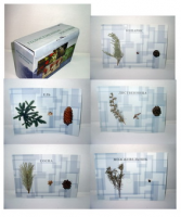 Коллекция "Голосеменные растения" - fgospostavki.ru - Королёв