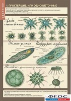 Комплект таблиц. Биология 7 класс. Животные. - fgospostavki.ru - Королёв