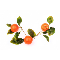 Ветка муляжей "Мандарины" - fgospostavki.ru - Королёв