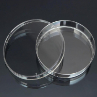 Чашка Петри стеклянная с крышкой 100х20 - fgospostavki.ru - Королёв