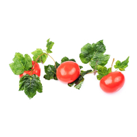 Ветка муляжей "Помидоры" - fgospostavki.ru - Королёв