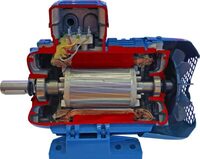 Учебная модель «Электродвигатель асинхронный в разрезе» - fgospostavki.ru - Королёв