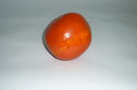 Муляж "Гранат" - fgospostavki.ru - Королёв