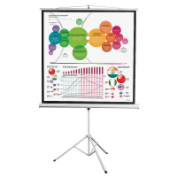 Экран на штативе DSKD-1104 - fgospostavki.ru - Королёв
