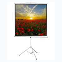 Экран на штативе DSKD-1105  - fgospostavki.ru - Королёв